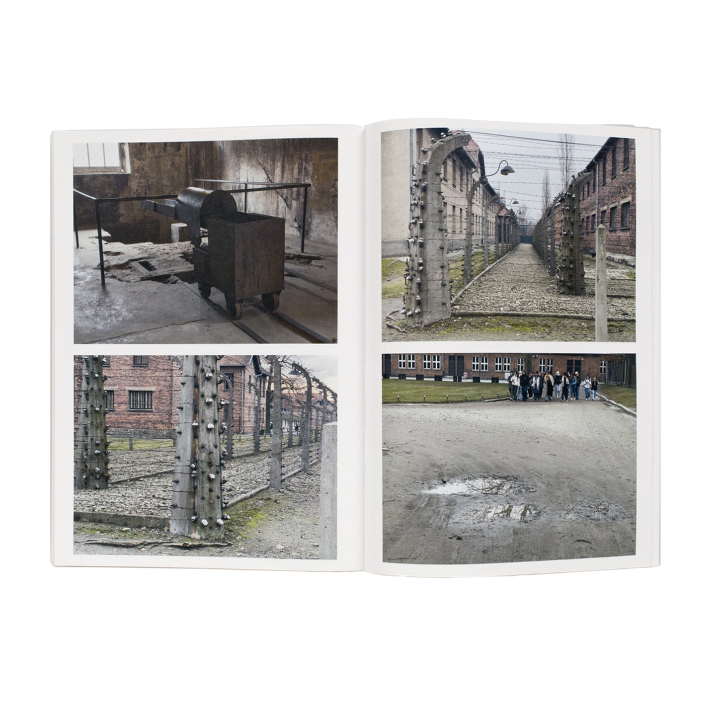 Auschwitz Birkenau
