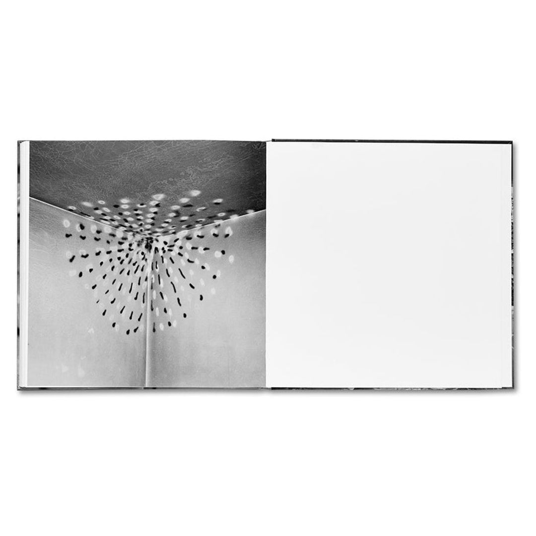 VANDALISM - John Divola