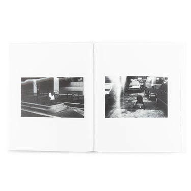 Mark Borthwick - 'Out of Date': Pola Pan 1984-1996
