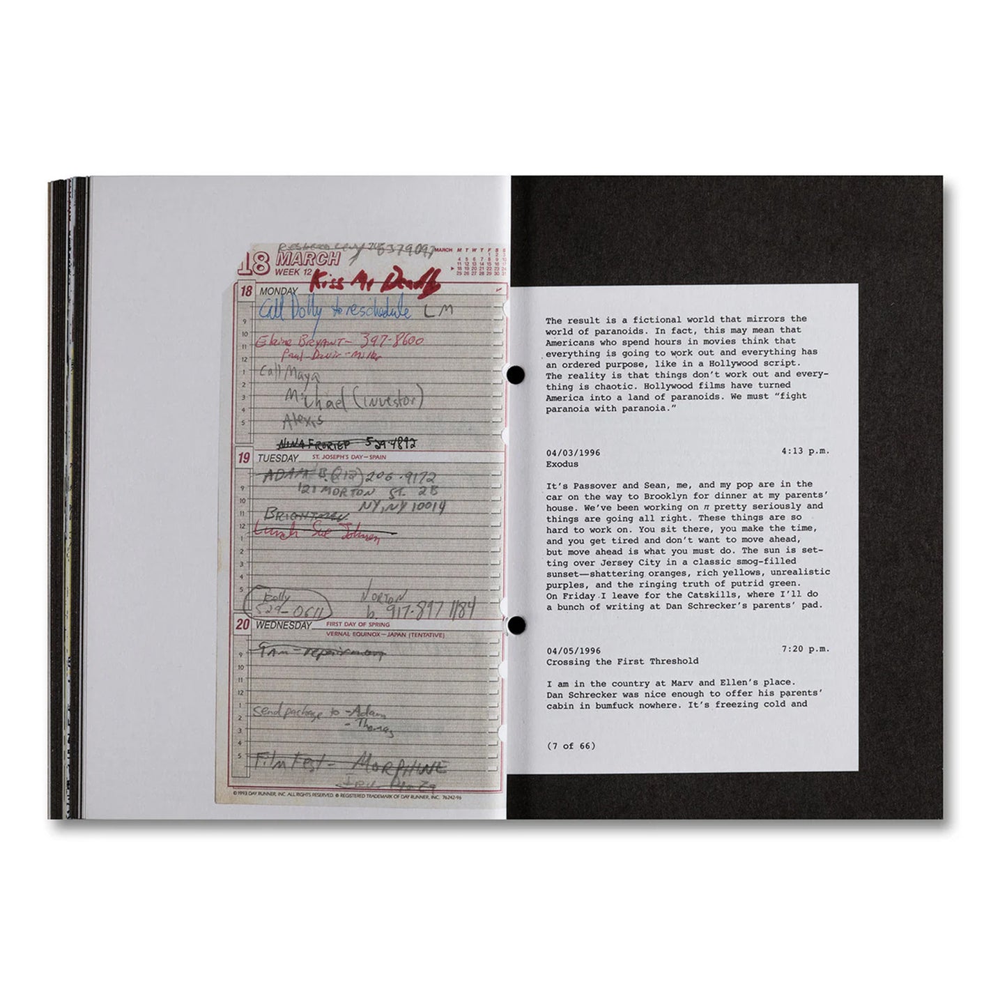 Pi: The Guerilla Diaries