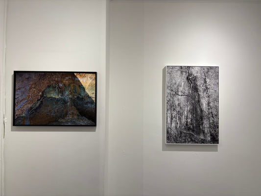 NEW EXHIBITION: KURT DE WIT | THE LIVING ARCHIVE