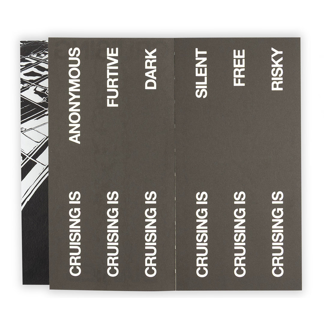 Cruising Diaries-Franco Dupuy