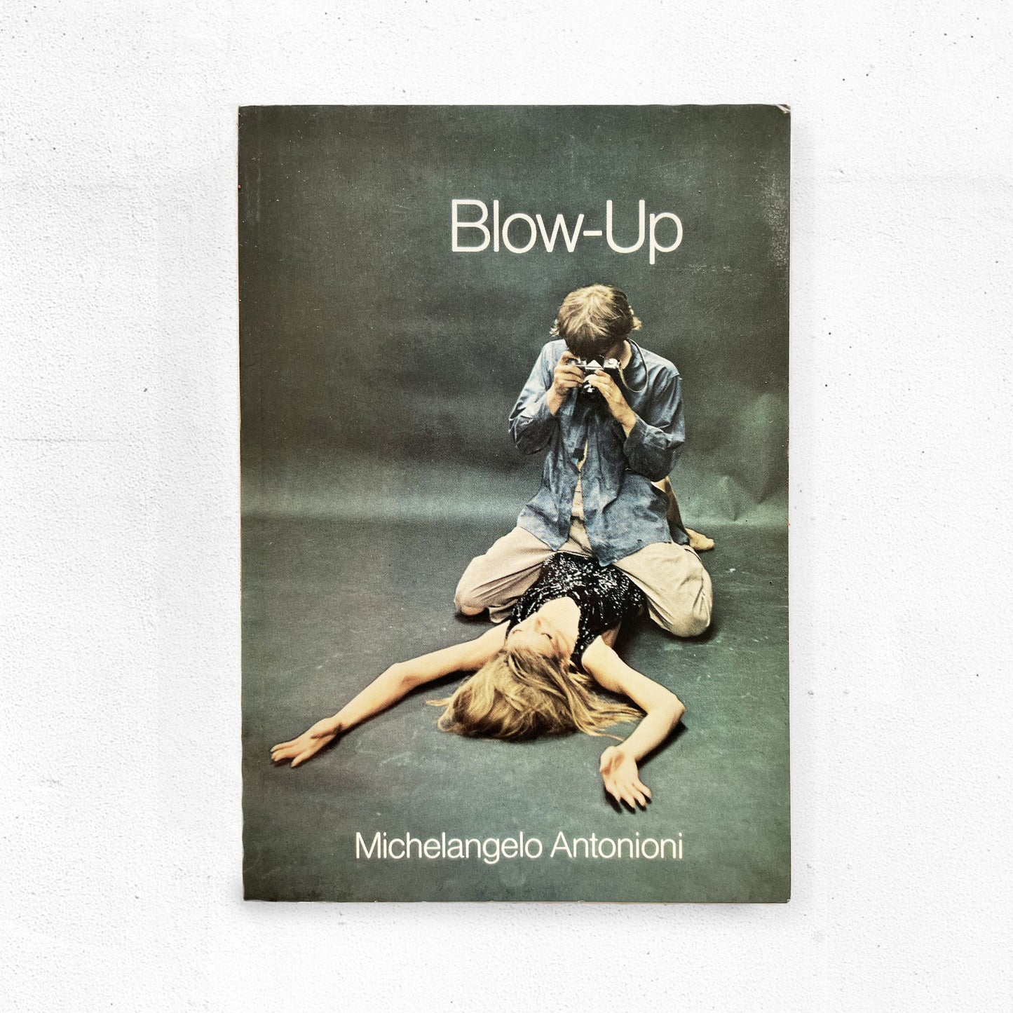 "Blow-Up: A Film (Modern Film Scripts)" by Michelangelo Antonioni