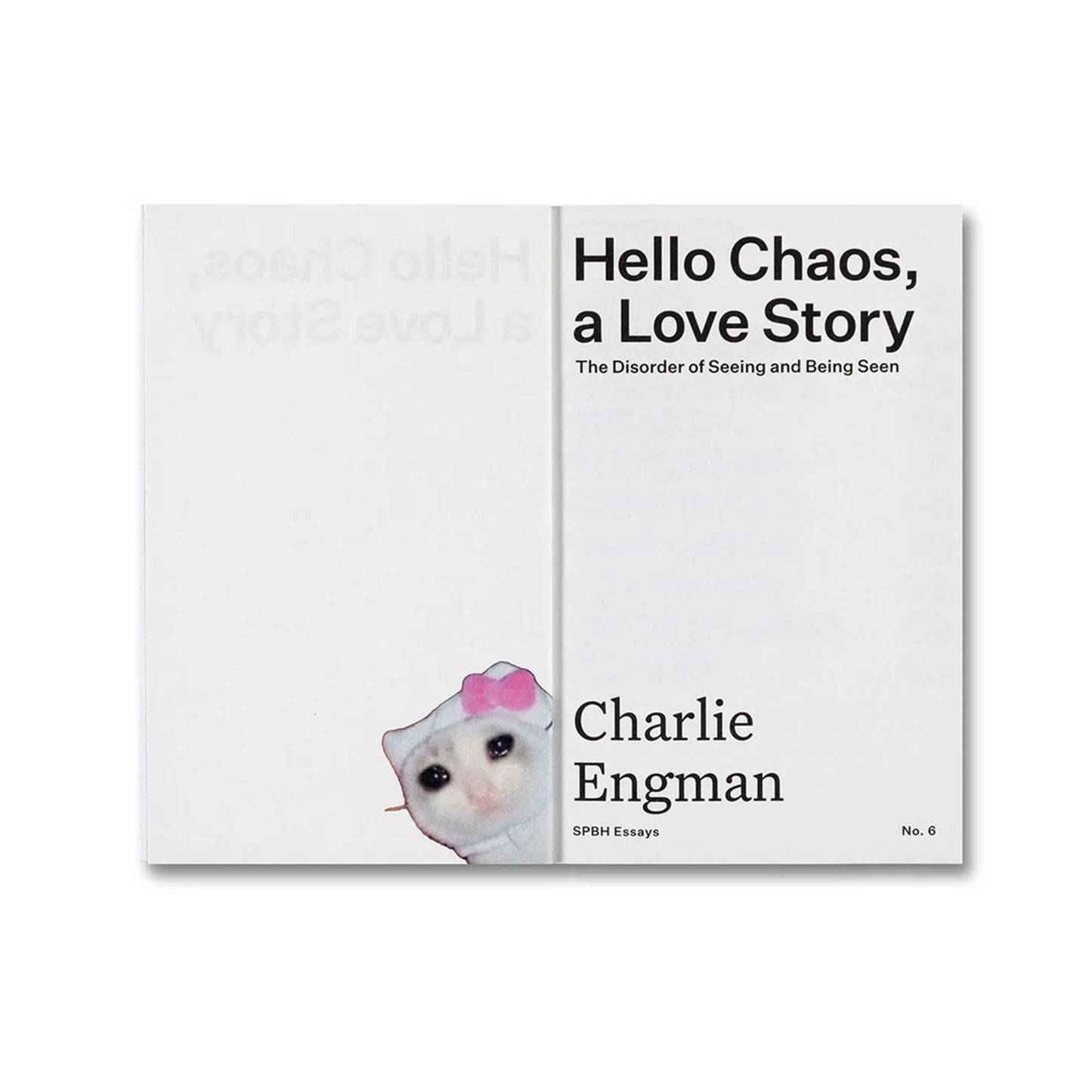 Hello Chaos, a Love Story: The Disorder of Seeing and Being Seen
