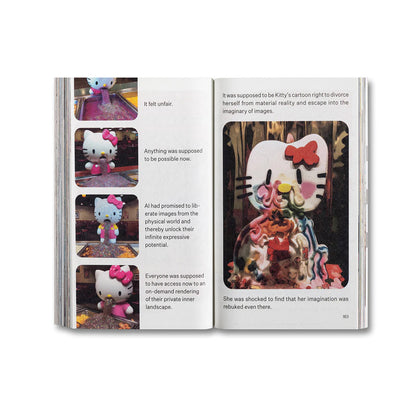 Hello Chaos, a Love Story: The Disorder of Seeing and Being Seen