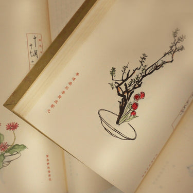 Frédéric Girard - Ikebana