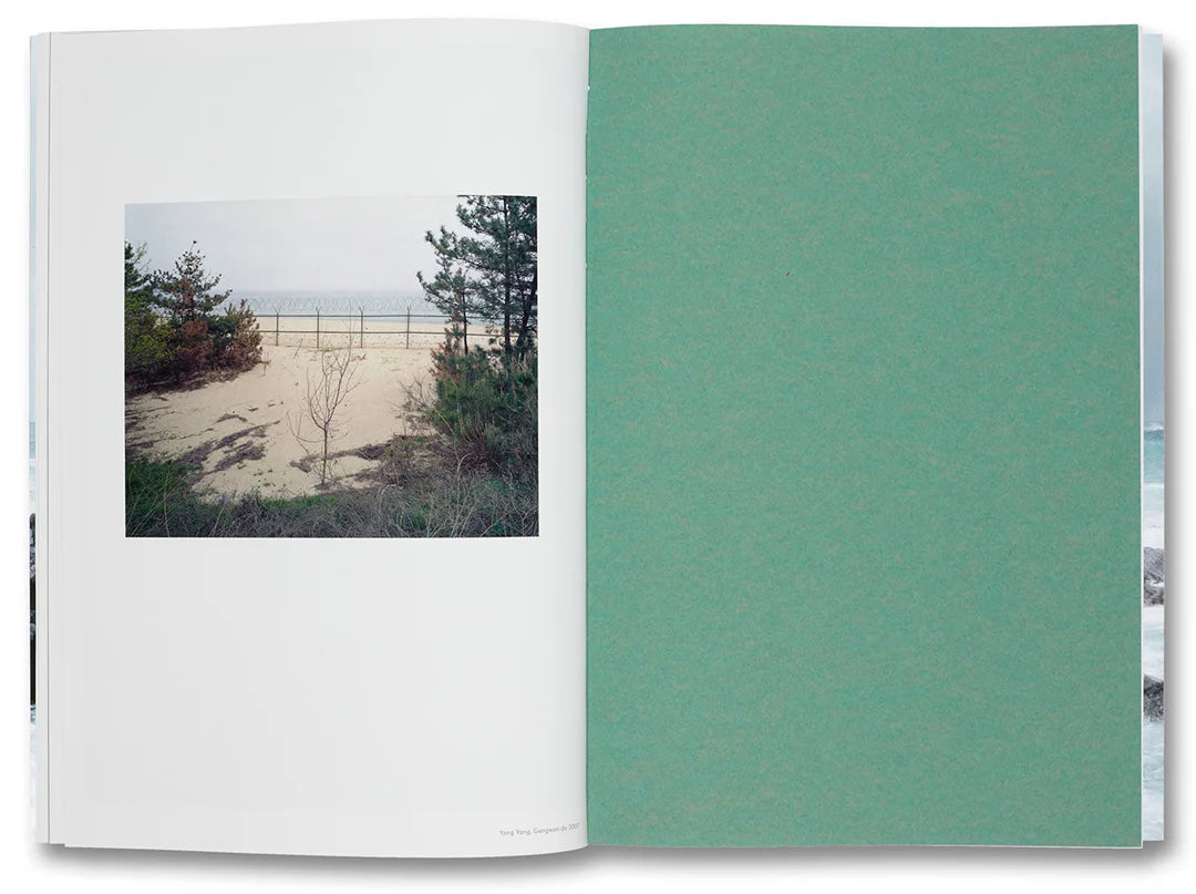 Thomas Struth-Nature & Politics