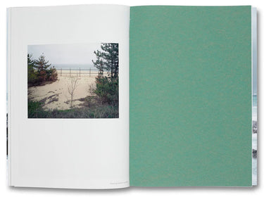 Thomas Struth-Nature & Politics