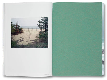 Thomas Struth-Nature & Politics