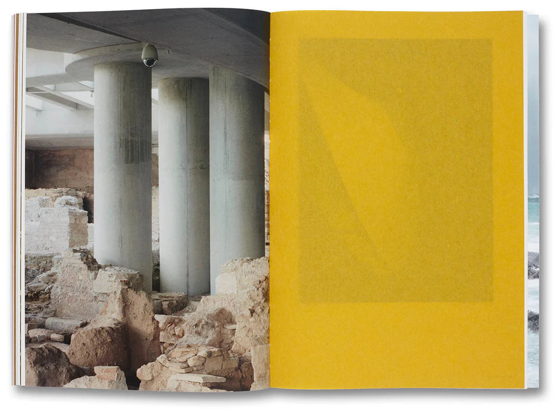 Thomas Struth-Nature & Politics