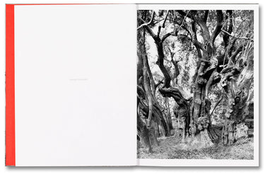 Anchor in the Landscape - Adam Broomberg & Rafael Gonzalez