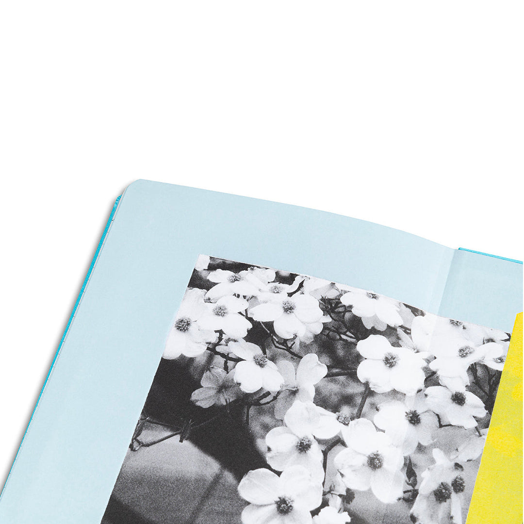 SOFIA COPPOLA's 2026 Planner