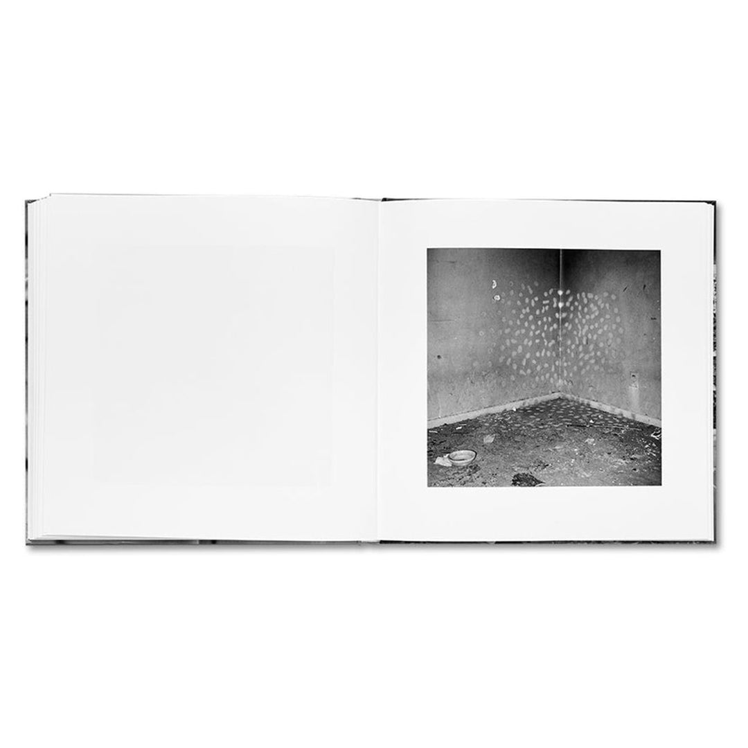 VANDALISM - John Divola