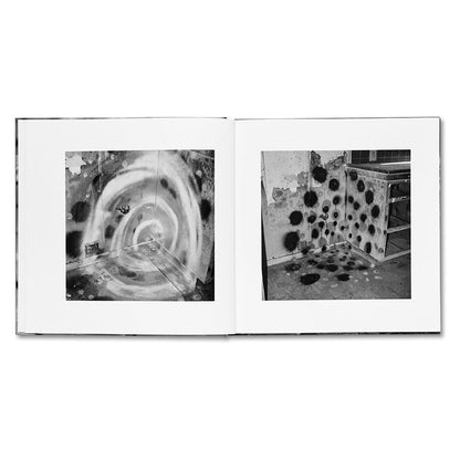 VANDALISM - John Divola