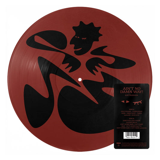 Kaytranada - Ain't No Damn Way!