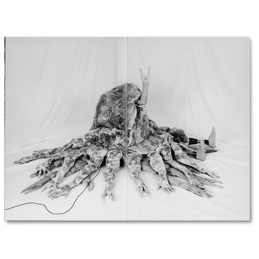 Mari Katayama - Synthesis