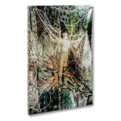 Mari Katayama - Synthesis