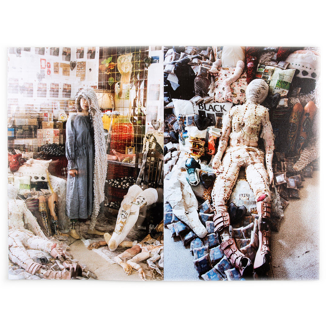 Mari Katayama - Synthesis