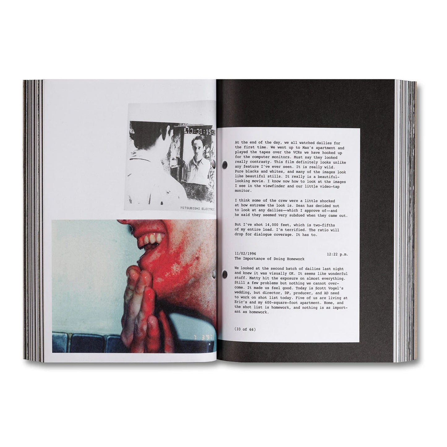 Pi: The Guerilla Diaries