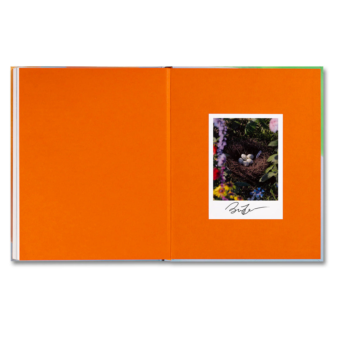 Benjamin Freedman-Positive Illusions