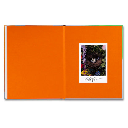 Benjamin Freedman-Positive Illusions