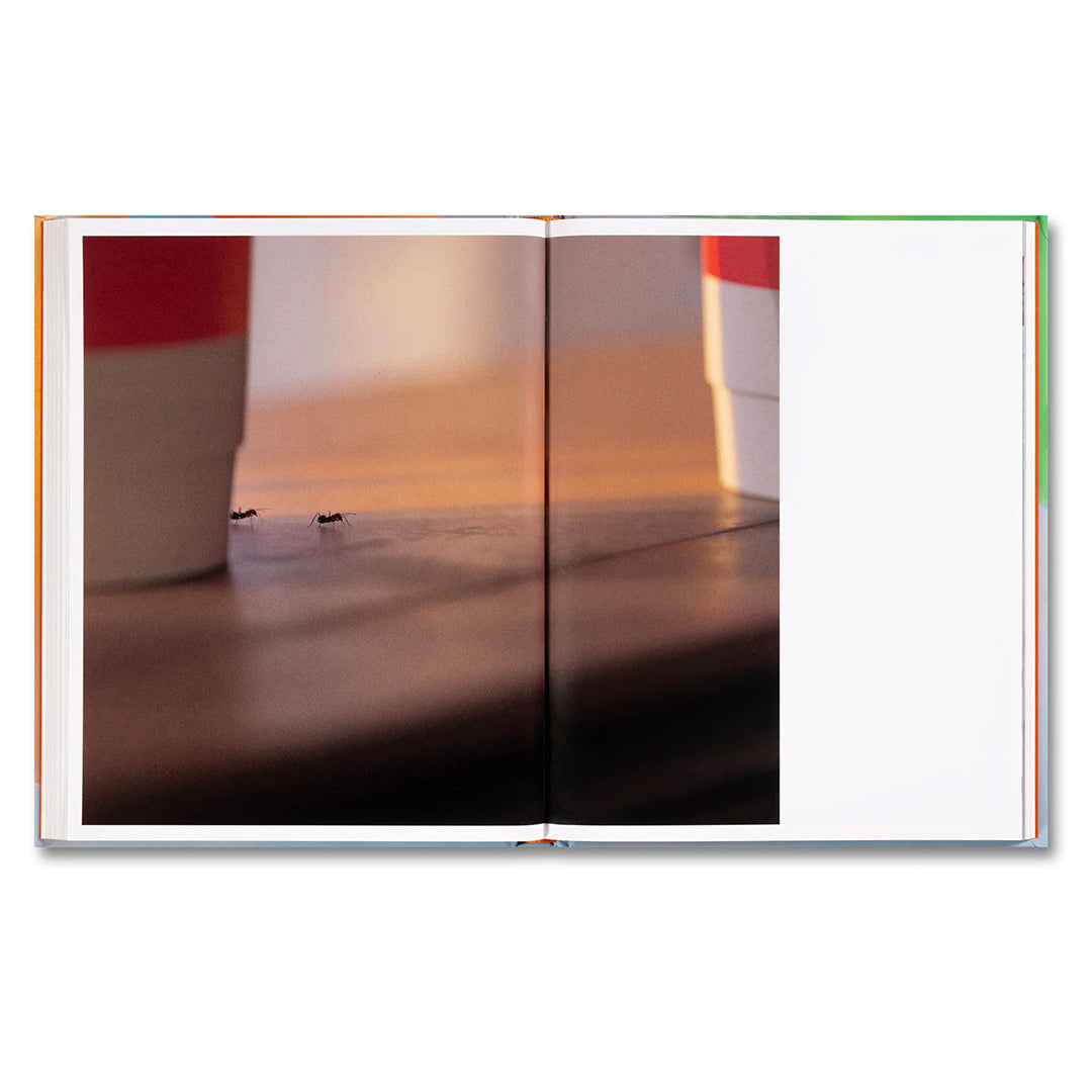 Benjamin Freedman-Positive Illusions