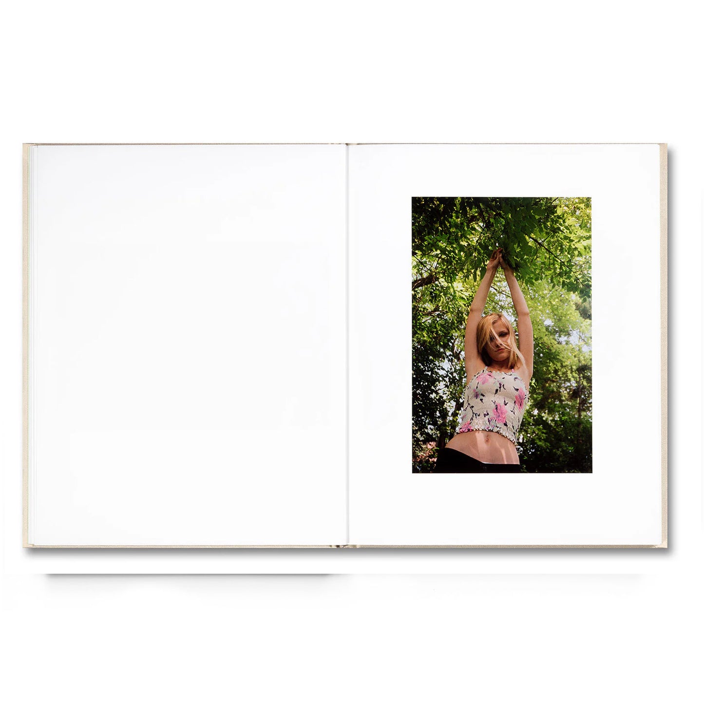 Sofia Coppola -The virgin suicides