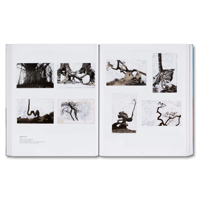 Base Matter and Uncommon Solvent: Drawings, Prints, Collages, and Objects 1988–2024